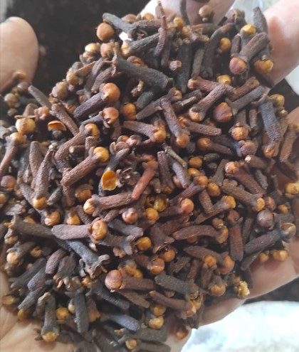 Cloves Supplier Best Price