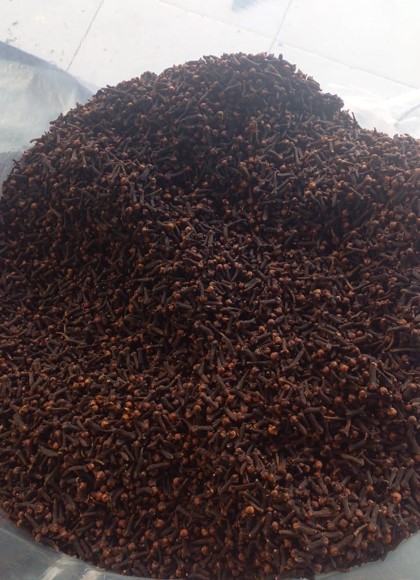 Cloves Supplier Good Quality