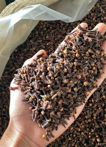Cloves Supplier International