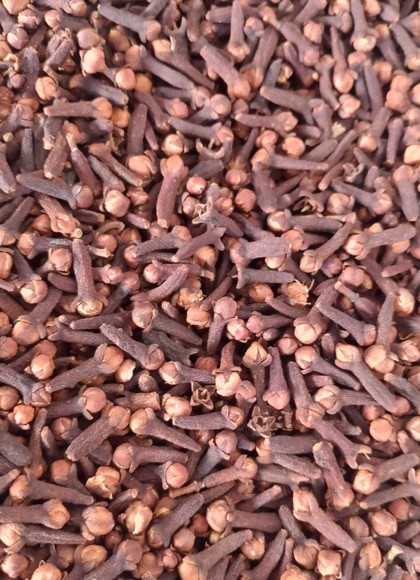 Cloves Supplier With Best Price