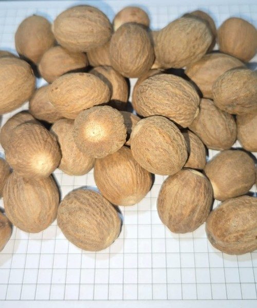 Nutmeg Supplier from Indonesia