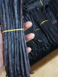 Vanilla Beans Grade 1 Supplier from Indonesia Country