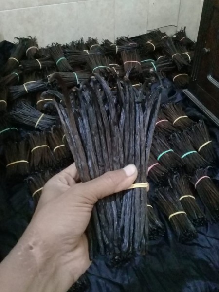 Vanilla Beans Grade 1 Supplier from Indonesia