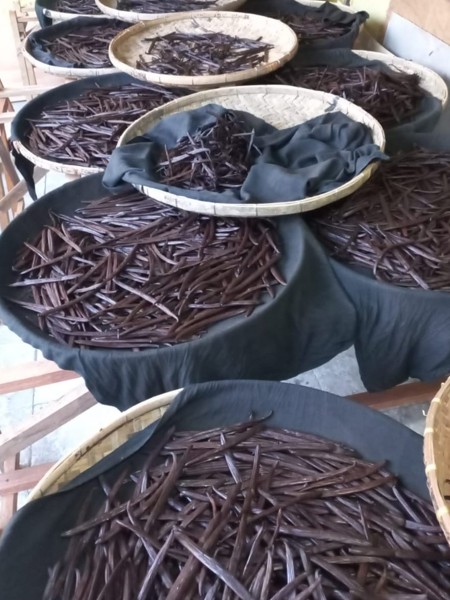 Vanilla Beans Grade 1 Supplier