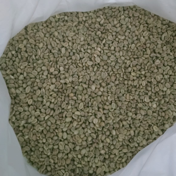 arabica coffee from indonesia