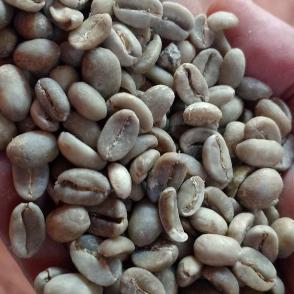 arabica coffee grade 1 from indonesia
