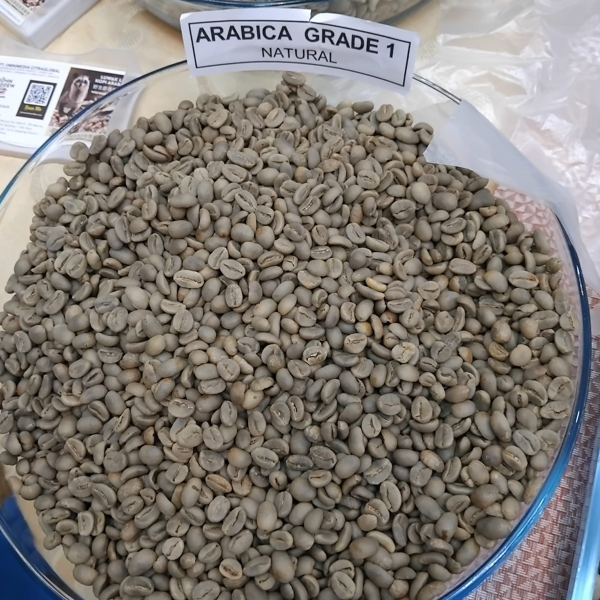 arabica coffee supplier from indonesia